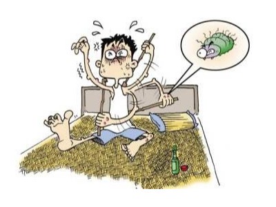 如何科學有效去螨蟲?芳香世家精油有妙招
