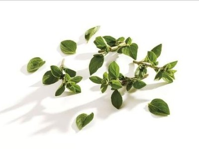 馬郁蘭精油,和精神內(nèi)耗說再見