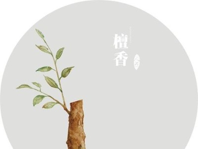 廣東精油代加工廠——檀香精油帶給你的歲月沉淀！