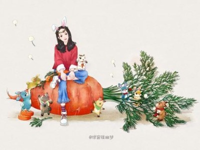 芳香世家胡蘿卜籽精油，給你意想不到的驚喜
